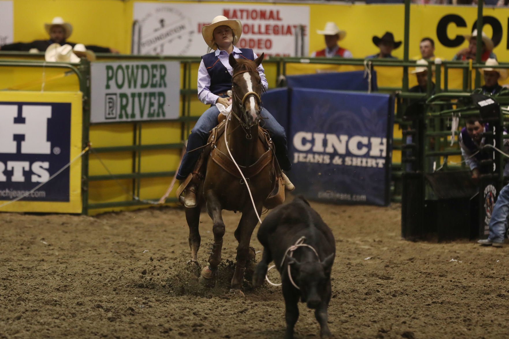 CNFR: Friday